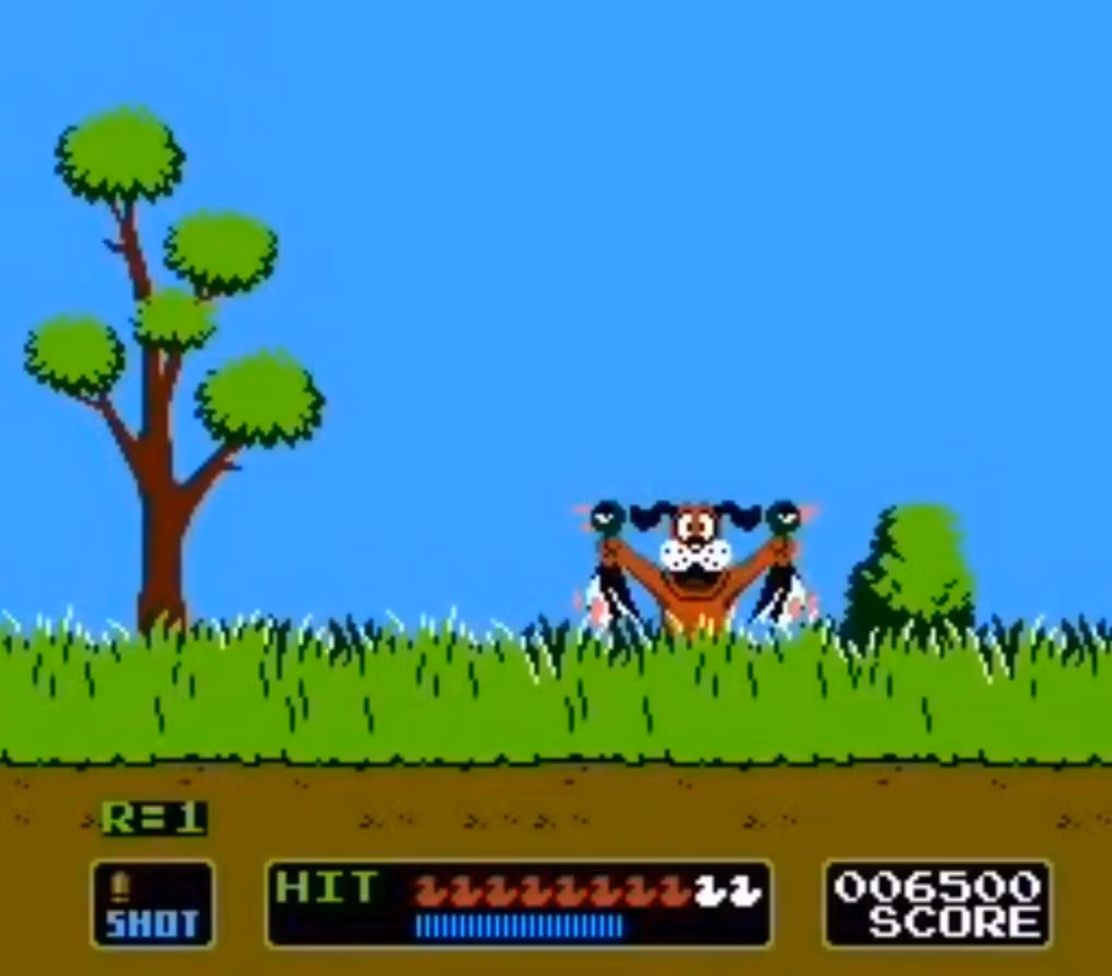 duck hunt chasse au canard nes