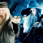 gandalf contre dumbledore