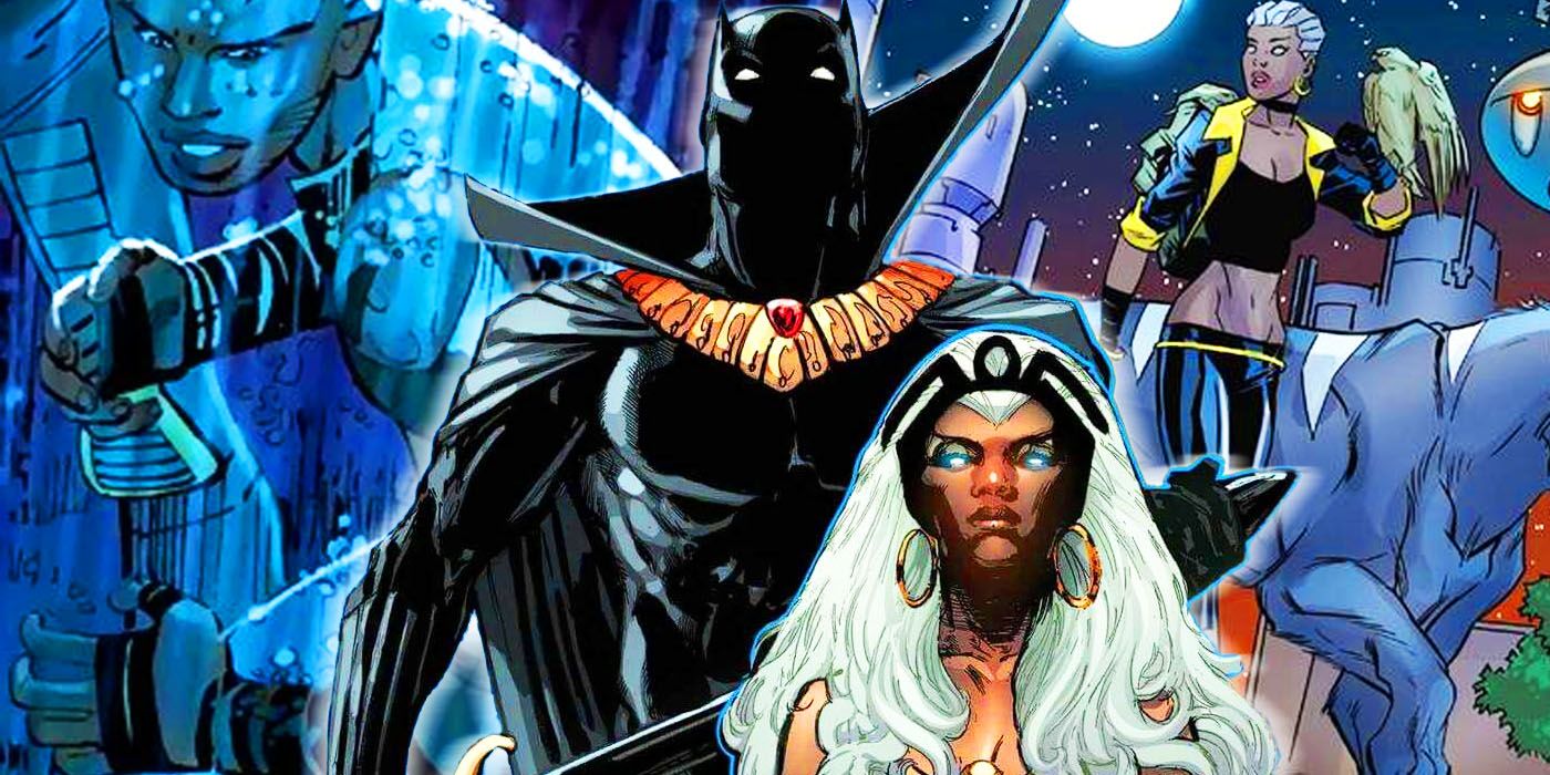 black panther tornade