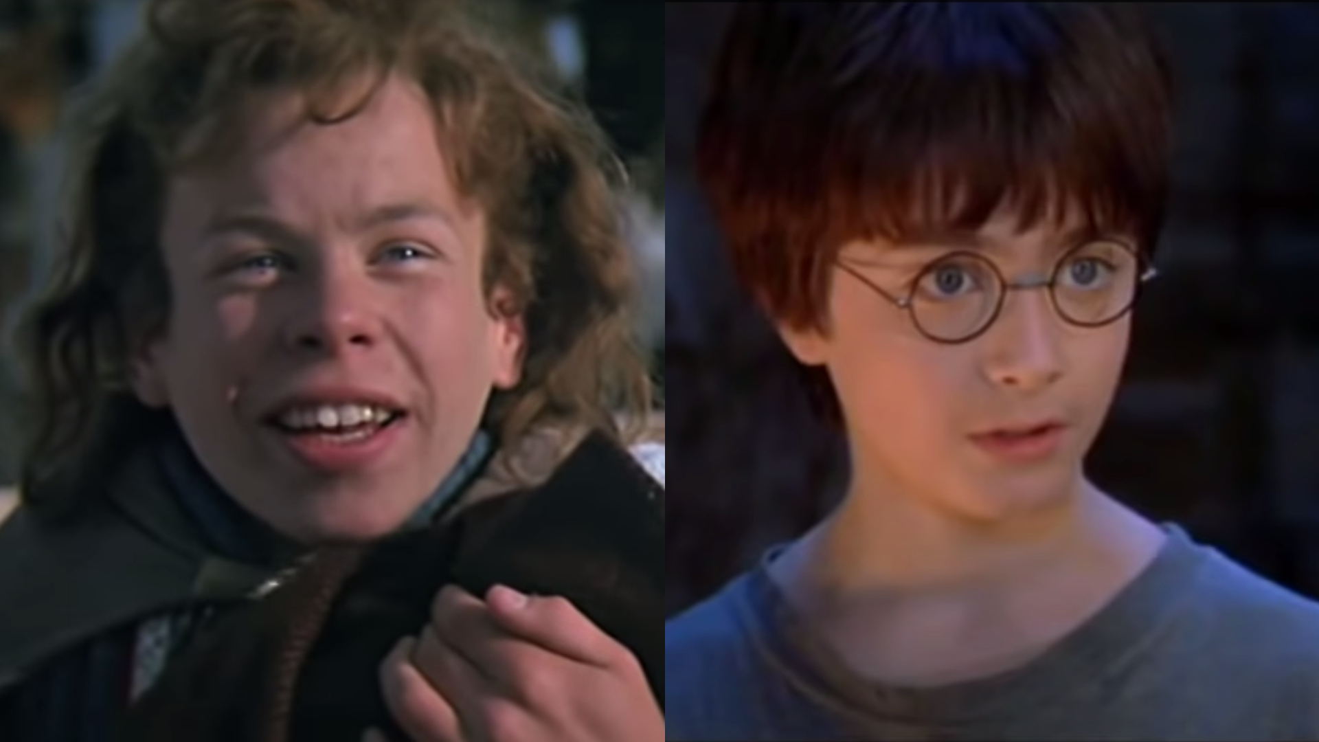 Harry Potter Willow