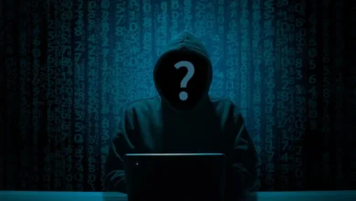 Pirates Informatiques Hackers