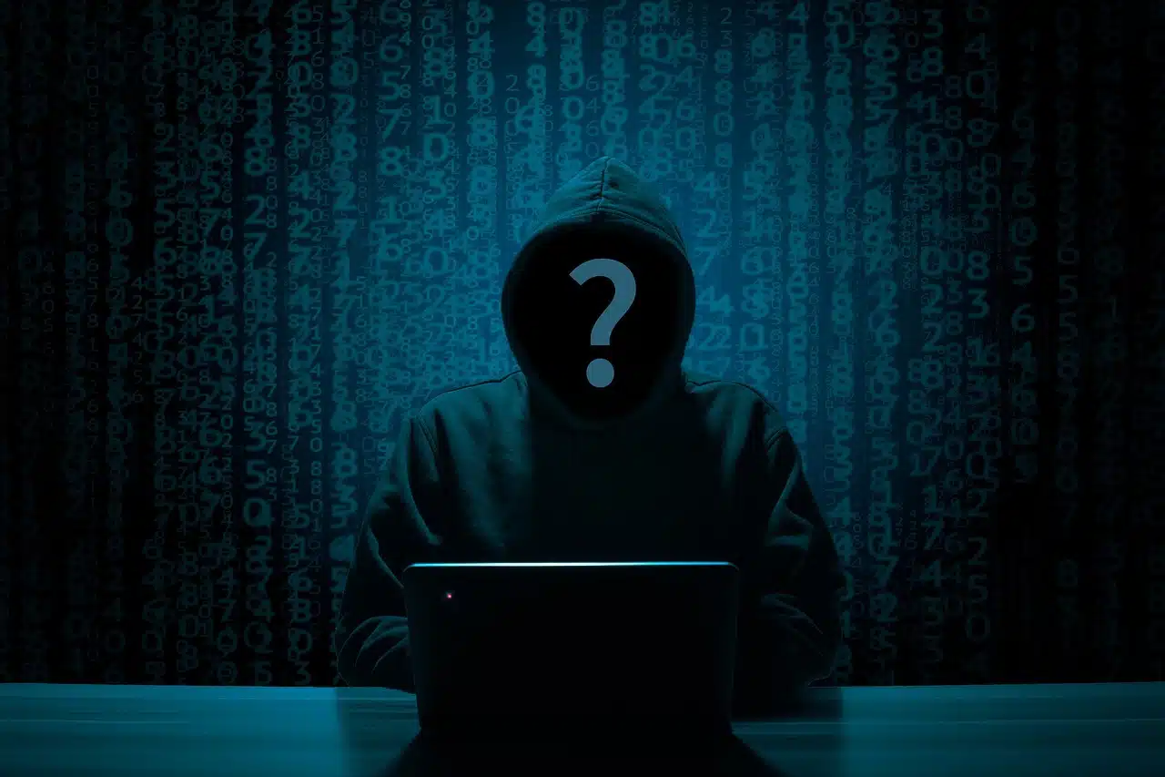 Pirates Informatiques Hackers