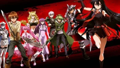 Akame Ga Kill!