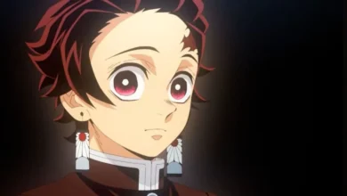 Demon Slayer gagne des milliards à l’international mais les studios d’anime font faillite en 2025 Demon Slayer Tanjiro Kamado