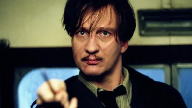 Remus lupin dans harry potter