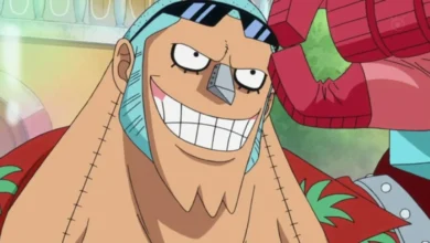 Franky One Piece