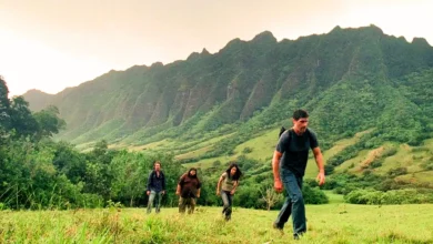 Lost