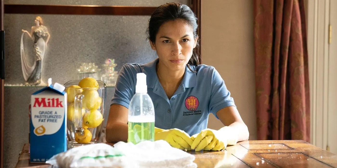 The Cleaning Lady