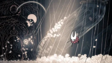 Hollow Knight