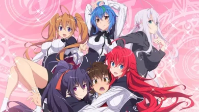 High School DXD
