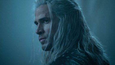 The Witcher