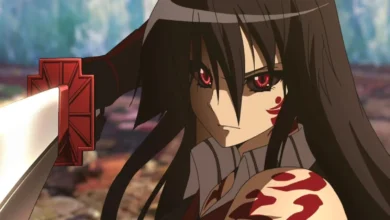 Les 6 animes les plus sanglants que vous ne pouvez pas ignorer Akame Ga Kill