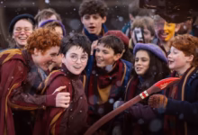 harry potter harry potter finding harry quidditch