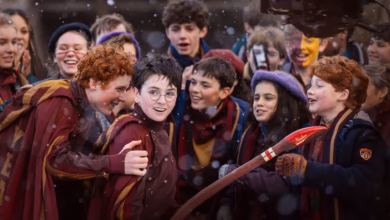 harry potter harry potter finding harry quidditch