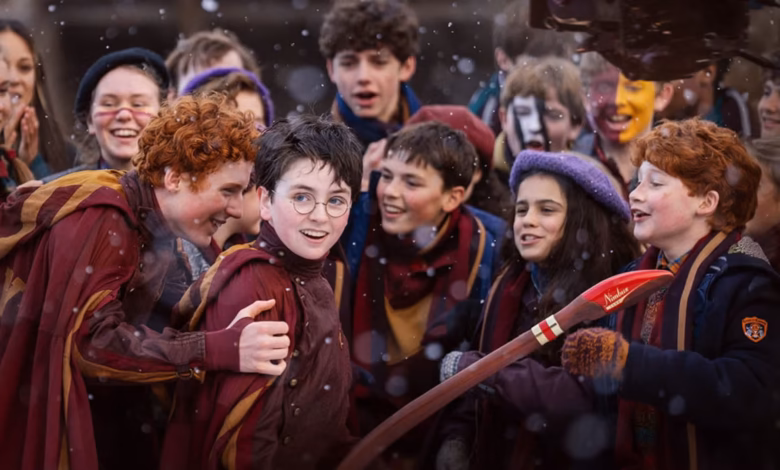 harry potter harry potter finding harry quidditch