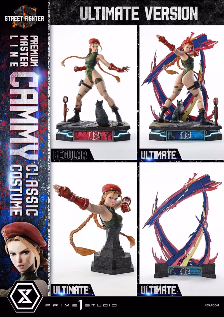 street fighter cammy classic costume 4
